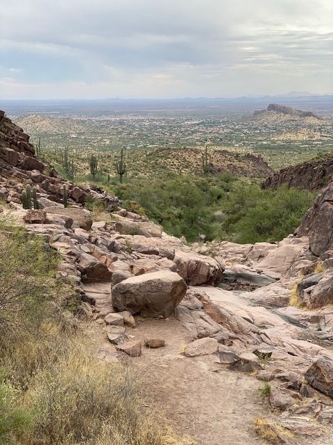 CJ Lee @cojaylee cover picture