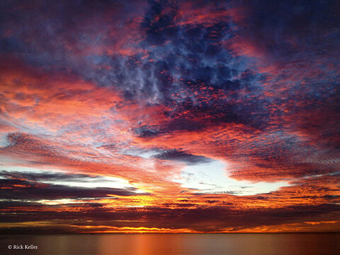 College Girl @collegegirlfeetx cover picture