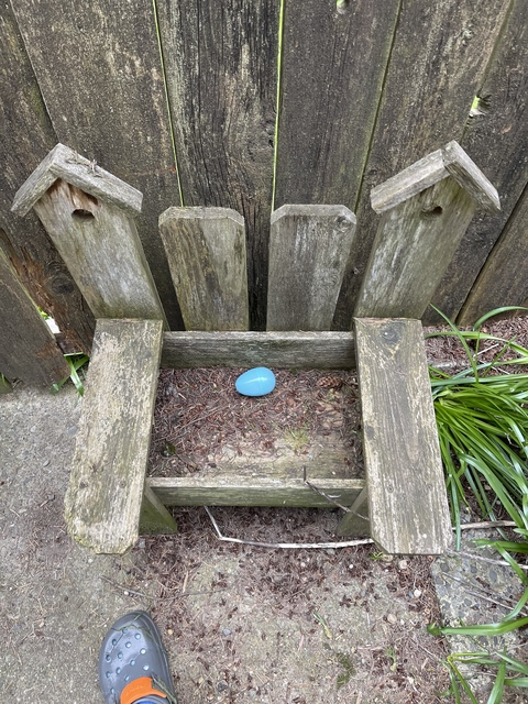 collinrtaylor @collinrtaylor cover picture