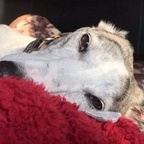 coloott Profile Picture