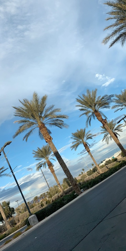 MoMuullahh @cookieem cover picture