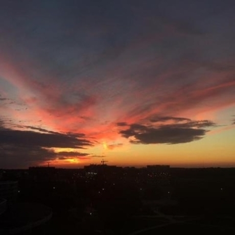 copyright @copyright cover picture