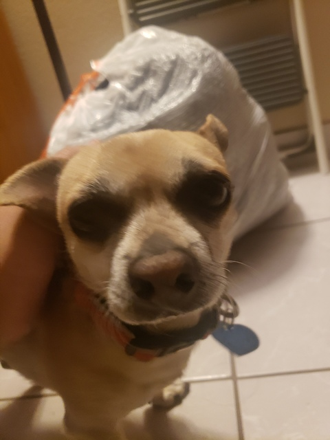 Bloodifyer @corinnakophf cover picture