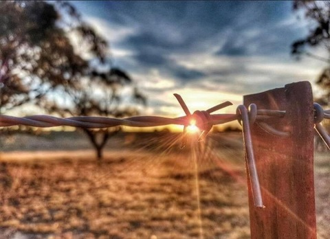 Country bloke @countrybloke2 cover picture