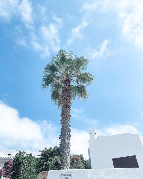 Lavinia and Tom @couplefriend cover picture