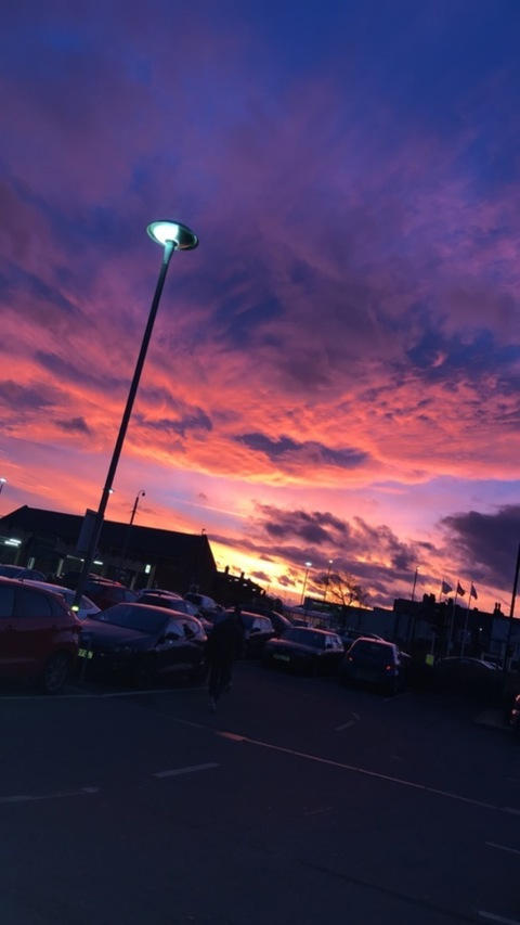 Courtxoxox @courtxoxox cover picture