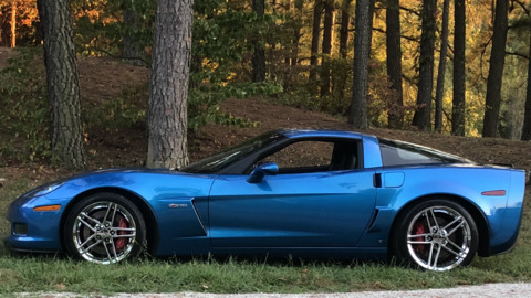 Coy Filbert @coyfilbert cover picture