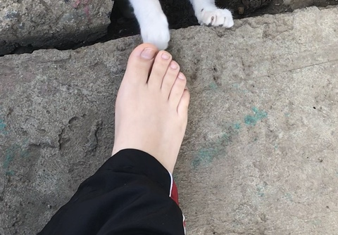 Cristel @cristell cover picture