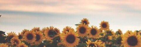 Crybabx @crybabx cover picture