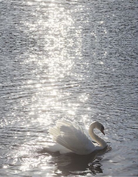 Maria @crybaby23 cover picture