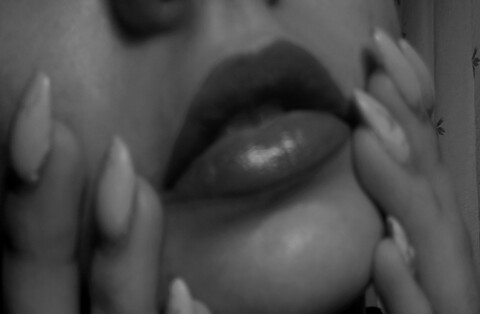 csdonna @csdonna cover picture