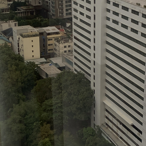 TopBear_CU @cu_cute_bear69 cover picture