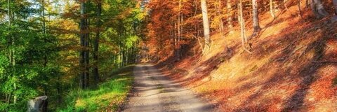 Richard Dezmen @cuntnugget cover picture