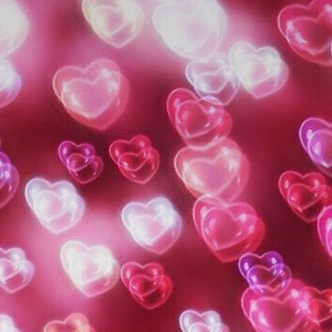 Cupid's Cherry @cupidscherry cover picture