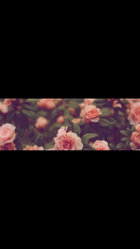 K Curvey @curveyk cover picture