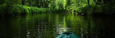 Anouka Bélanger @curvyana cover picture