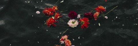 Dev A @curvygurl98 cover picture