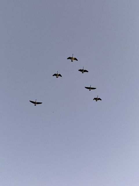 cyberpressure @cyberpressure cover picture