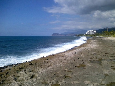 Chris P @d3adsh0t03 cover picture