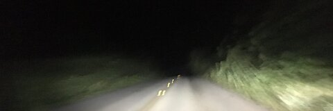 Champagne Papa @dad4hire cover picture