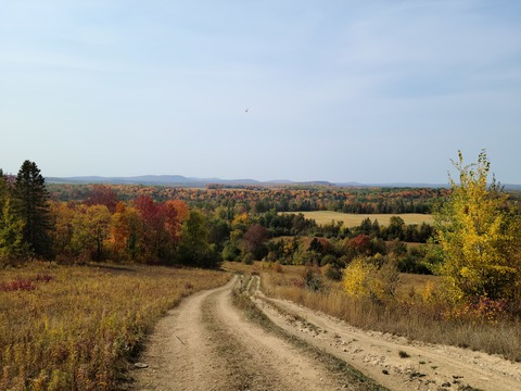 Dadbod @dad_bod87 cover picture