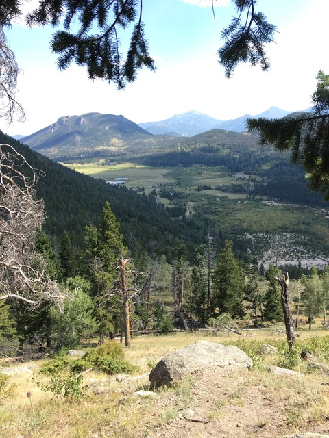 David L @daddylongo cover picture