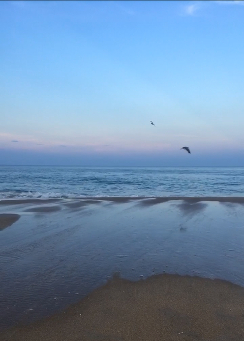 Daisy @daisy95 cover picture