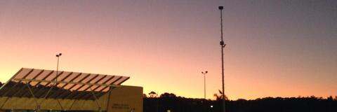 Daisy @daisydomen cover picture