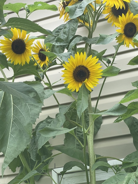 Dakotah @dakotah22 cover picture