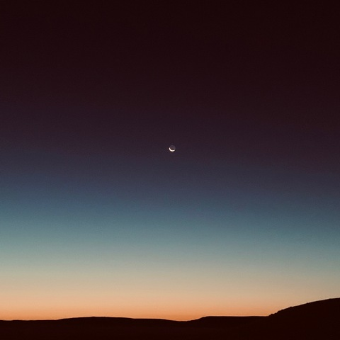 Dallas Girl @dallasgirl_99 cover picture