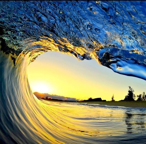 Danny Wuffs @dani_san_aba cover picture