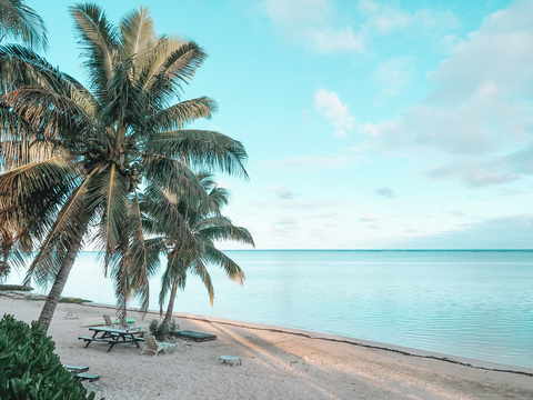 Dani Williams @dani_williams cover picture