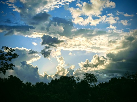 dani @danibananeee cover picture