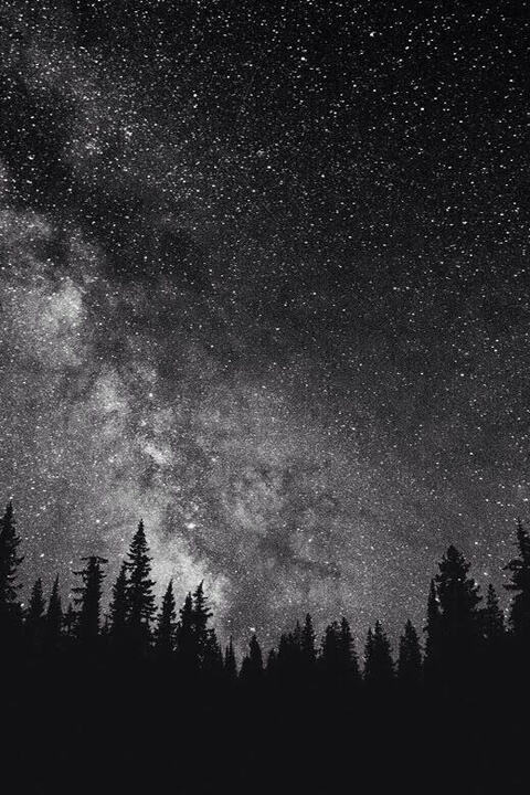 Dani Darlin’ @danidarlin cover picture