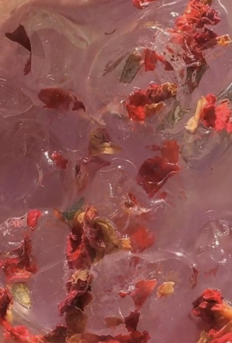 Daniele @daniele_stnap4 cover picture