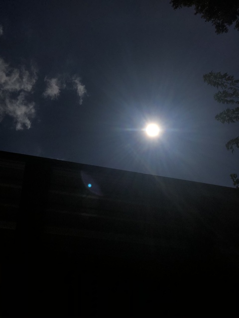 Danni @danni5 cover picture