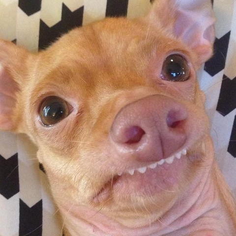 Dani <3 @danniiixo cover picture