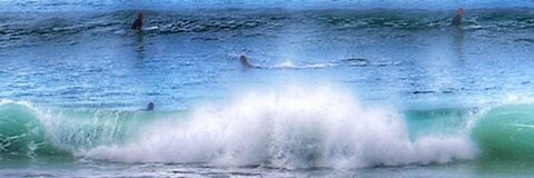 Sigh Vey @dannika cover picture