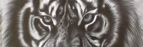 Kristen Harvey @dartsnfarts96 cover picture