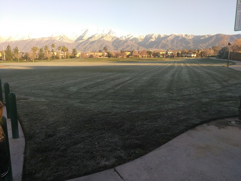 steezy💪👑💰💲💯 @dat_dud3e cover picture