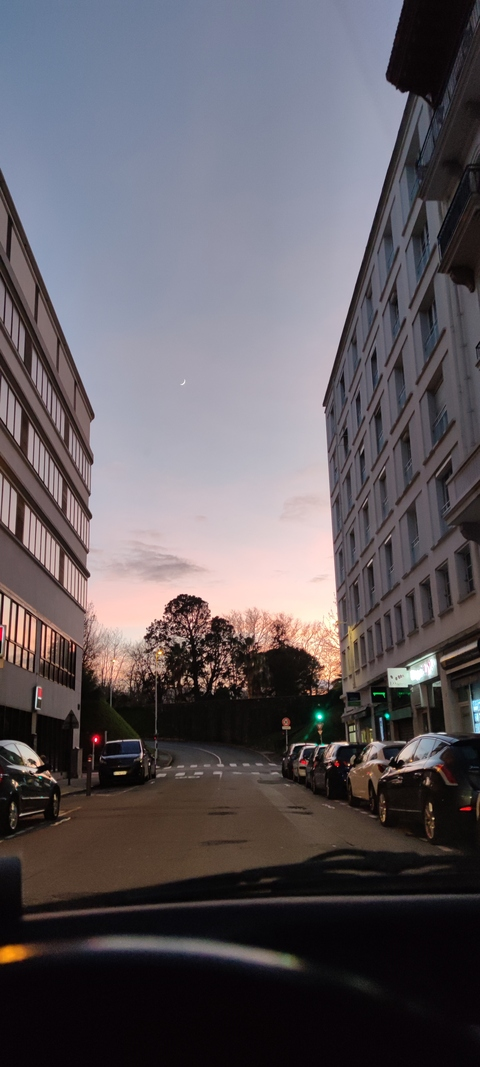 🦋🐍 @datsmaikell cover picture