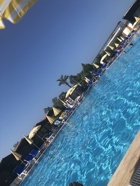 Dave s 89 @daves89 cover picture