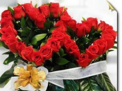 David @david_alcobendas cover picture