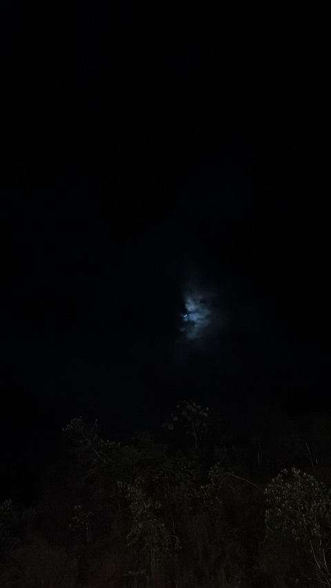 Dayanna @dayvip cover picture