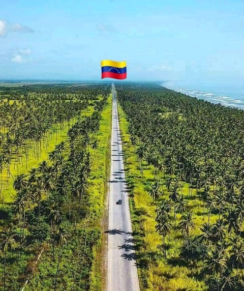 Dayye @dayye cover picture