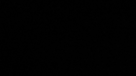 Daz wild @daz.wild cover picture