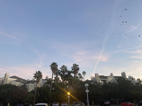 Diamond @ddiamondmoney cover picture