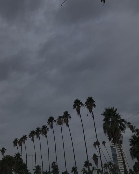 DearCarolina @dearcarolina cover picture