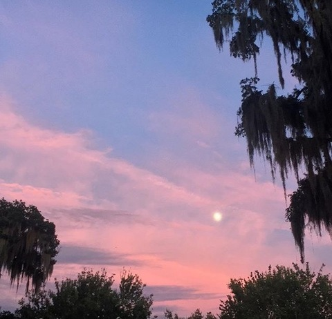 Debunk @debunk cover picture