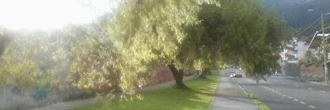 David Garzón @deiividyarus cover picture